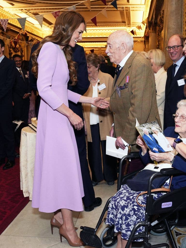 The Princess of Wales talking to older man