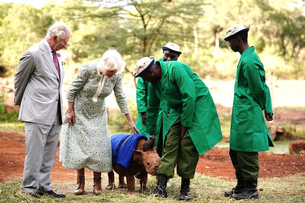 King Charles III and Queen Camilla look at a baby rhino during a visit to Sheldrick Wildlife Trust Elephant Orphanage in Nairobi National Park, to learn about the trust's work in the conservation and preservation of wildlife and protected areas across Kenya with three professionals attending in all green.