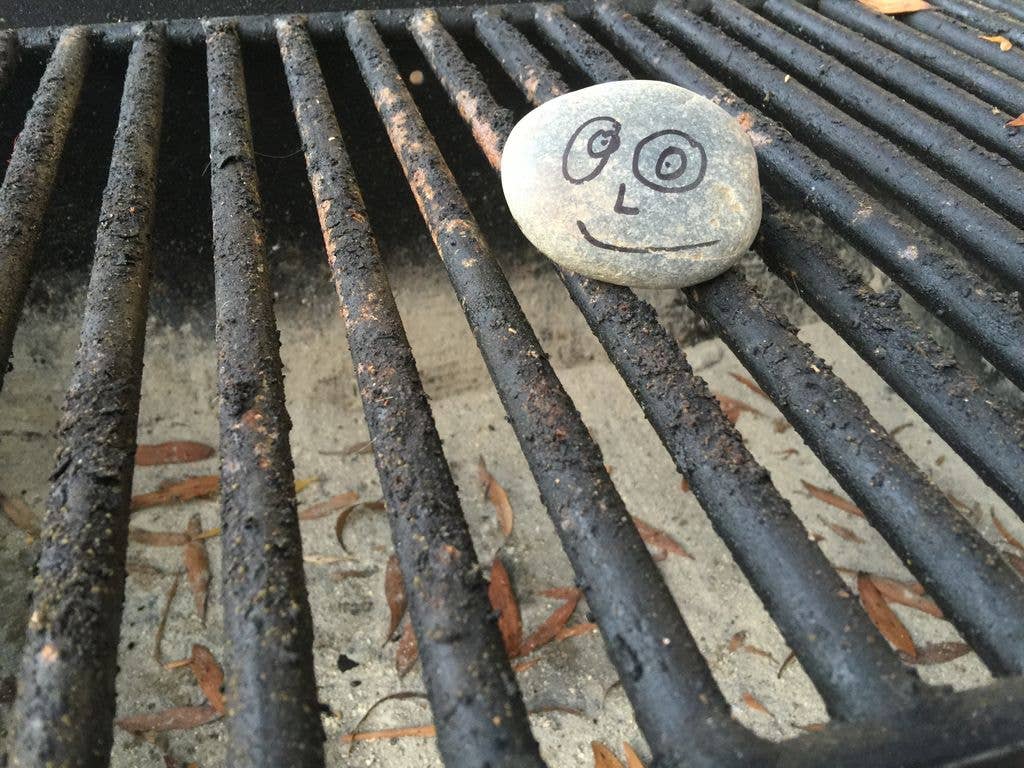 A pet rock sitting on a drain