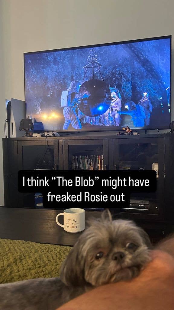 Michael Consuelos shares a photo of himself watching "The Blob" with his dog Rosie at home, shared on Instagram Stories