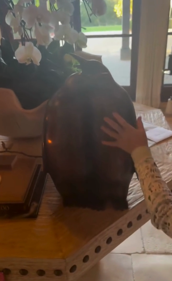 Bronze scuplture of two penguins, a gift from Prince Harry to Meghan Markle
