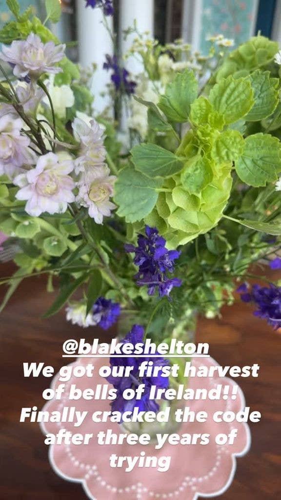 Gwen Stefani shares a glimpse of her husband Blake Shelton tending to Bells-of-Ireland at their ranch in Oklahoma on her Instagram Stories