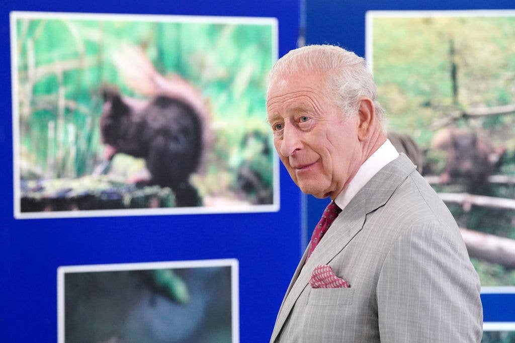 King Charles in a grey suit near pictures of squirrels