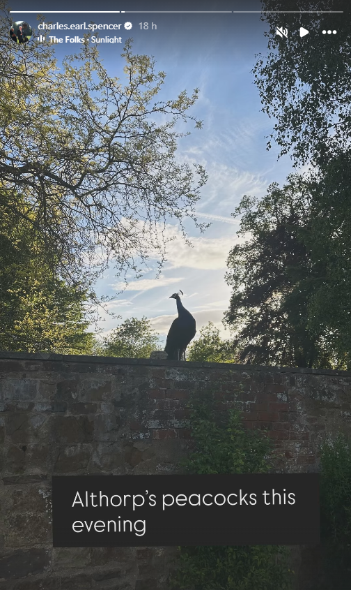 Althorp Estate is home to some stunning wildlife