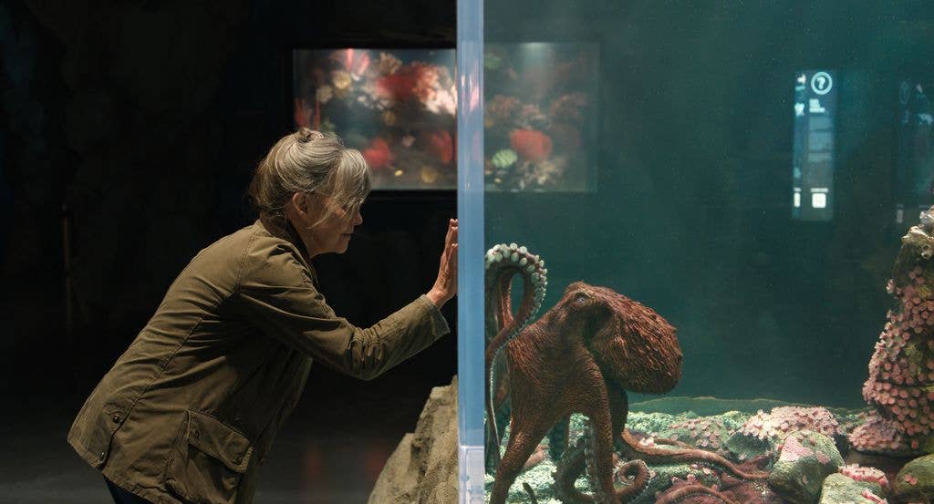 Sally Field as Tova and Marcellus in Remarkably Bright Creatures