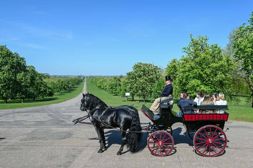 We enjoyed a carriage ride around the Windsor Great Park, with fantastic views down the Long Walk