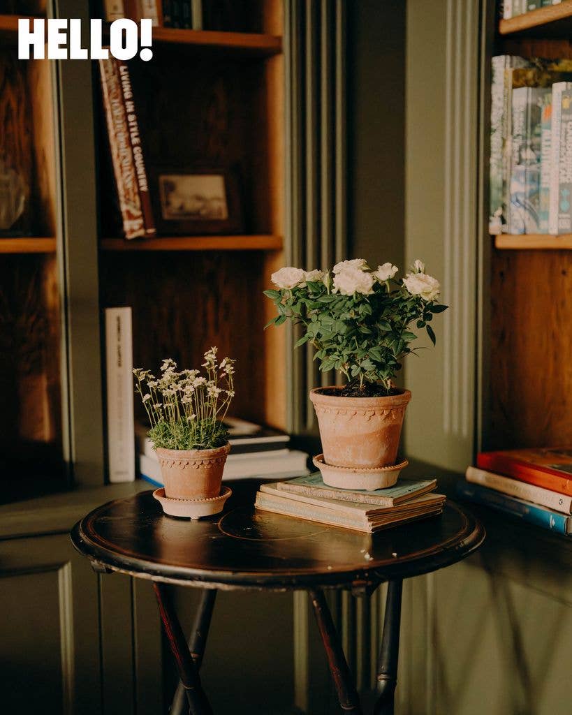A coffee table with plants next to a bookshelf