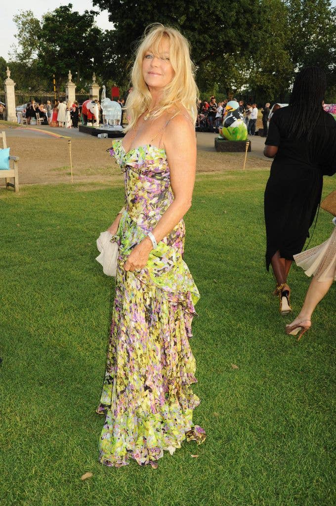 Goldie Hawn in floral dress attends The Elephant Parade