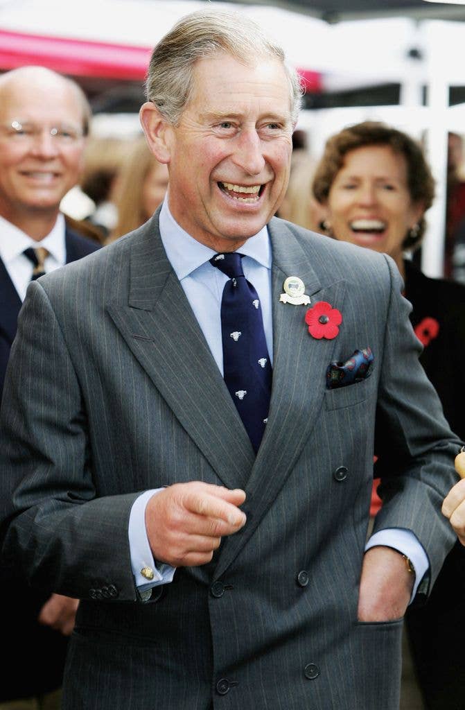 king charles hand in pocket