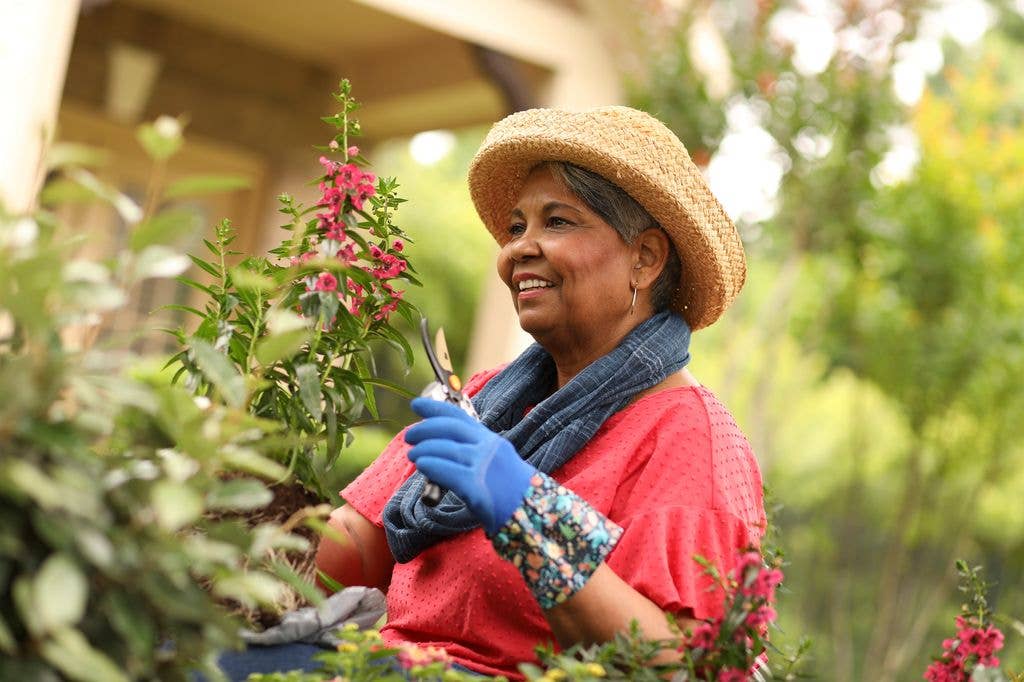 adult woman enjoys gardening in the flower bed in front of her home pruning and planting flowers