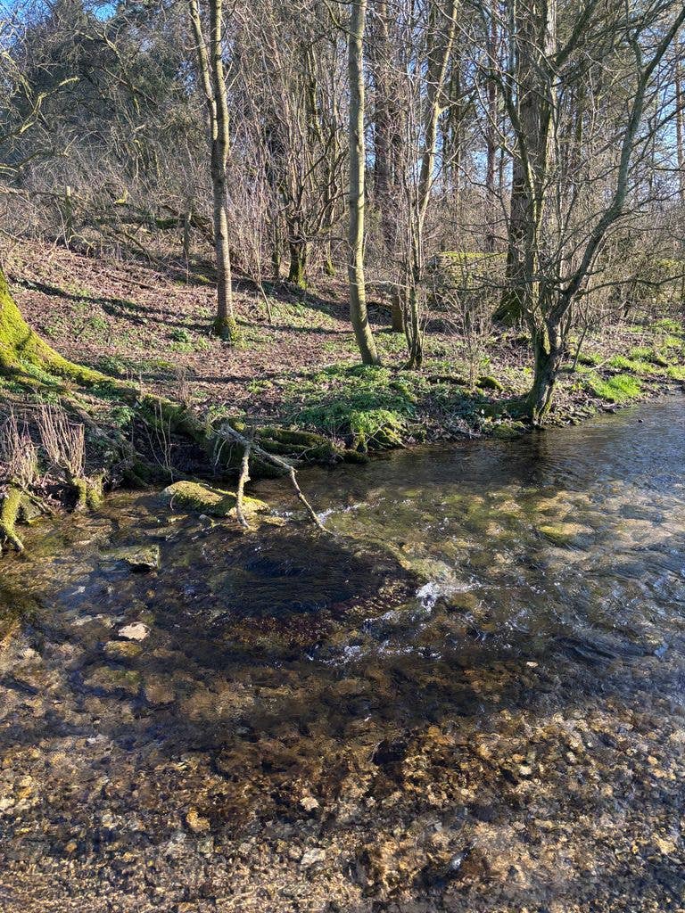 the source of the thames 