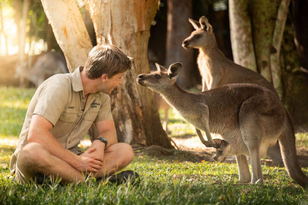 Robert Irwin with a joey named Cwtch
