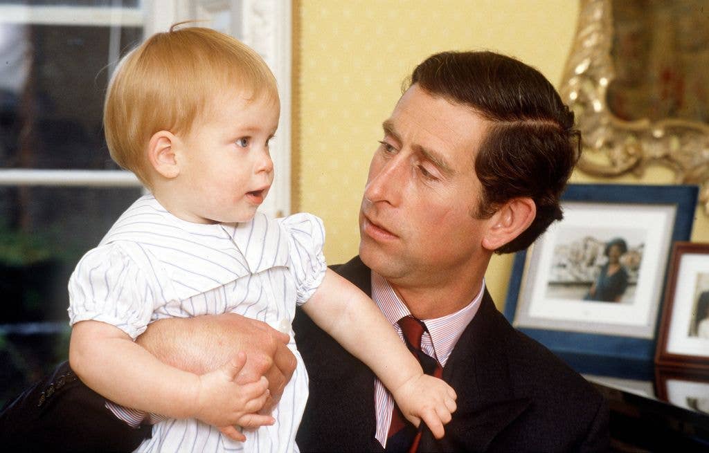 prince harry charles