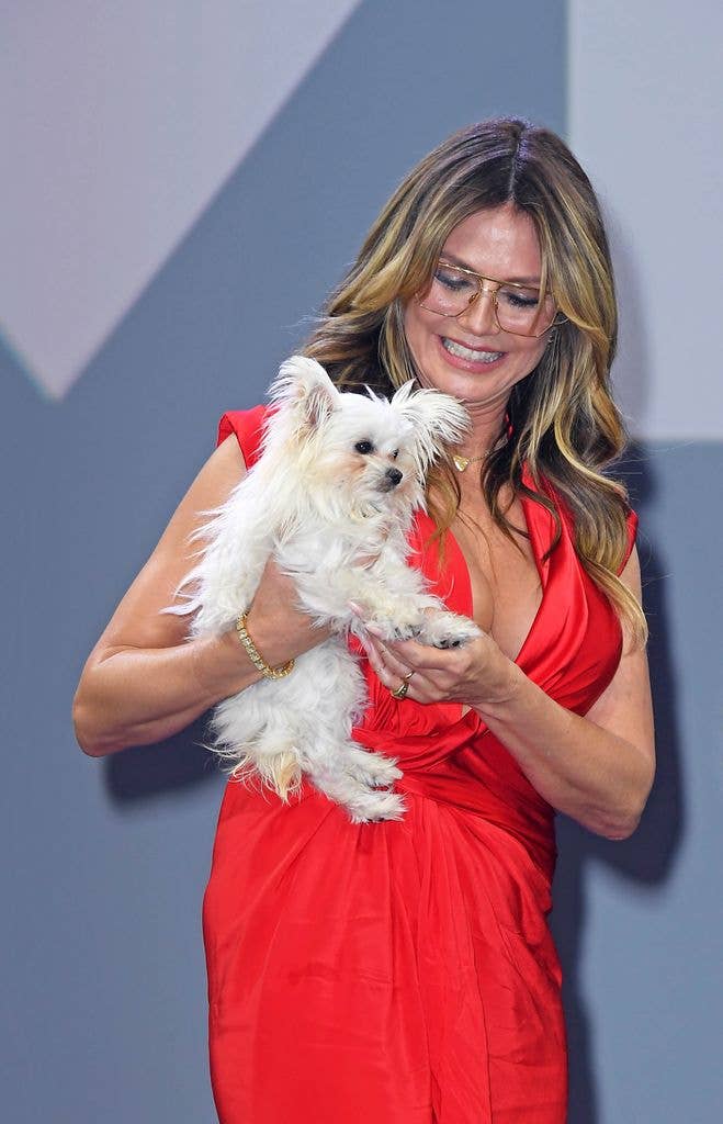 heidi klum dog fritz