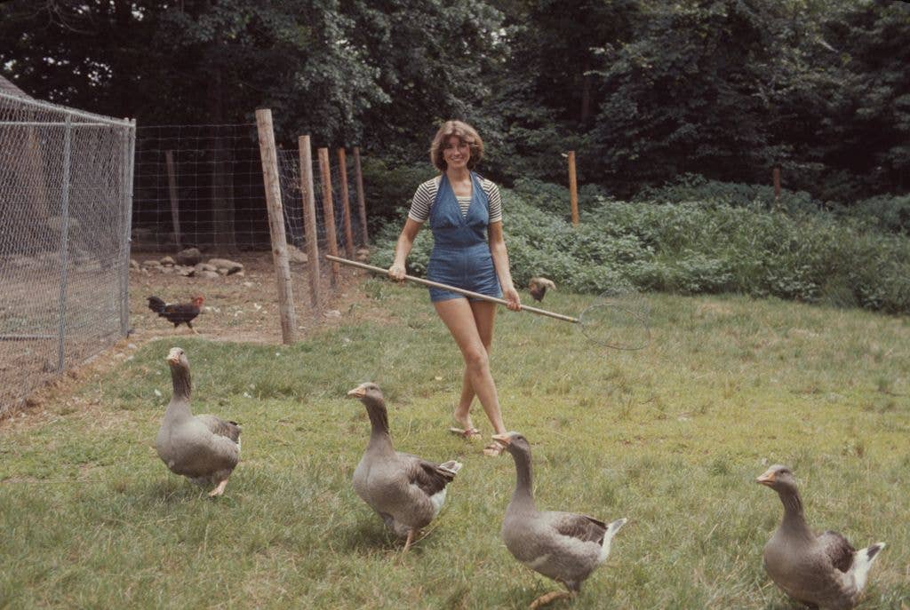 Martha herds geese on the grounds of her home, Westport, Connecticut, August 1976.