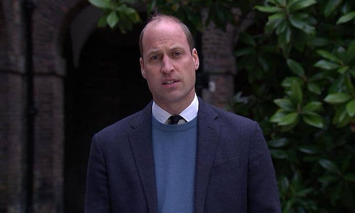 prince william video statement