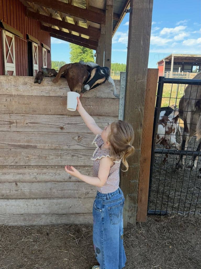 Ireland Baldwin's daughter Holland feeds farm animals
