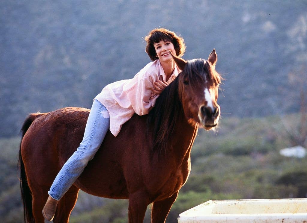 The answer is...B) Kristin Shepard!