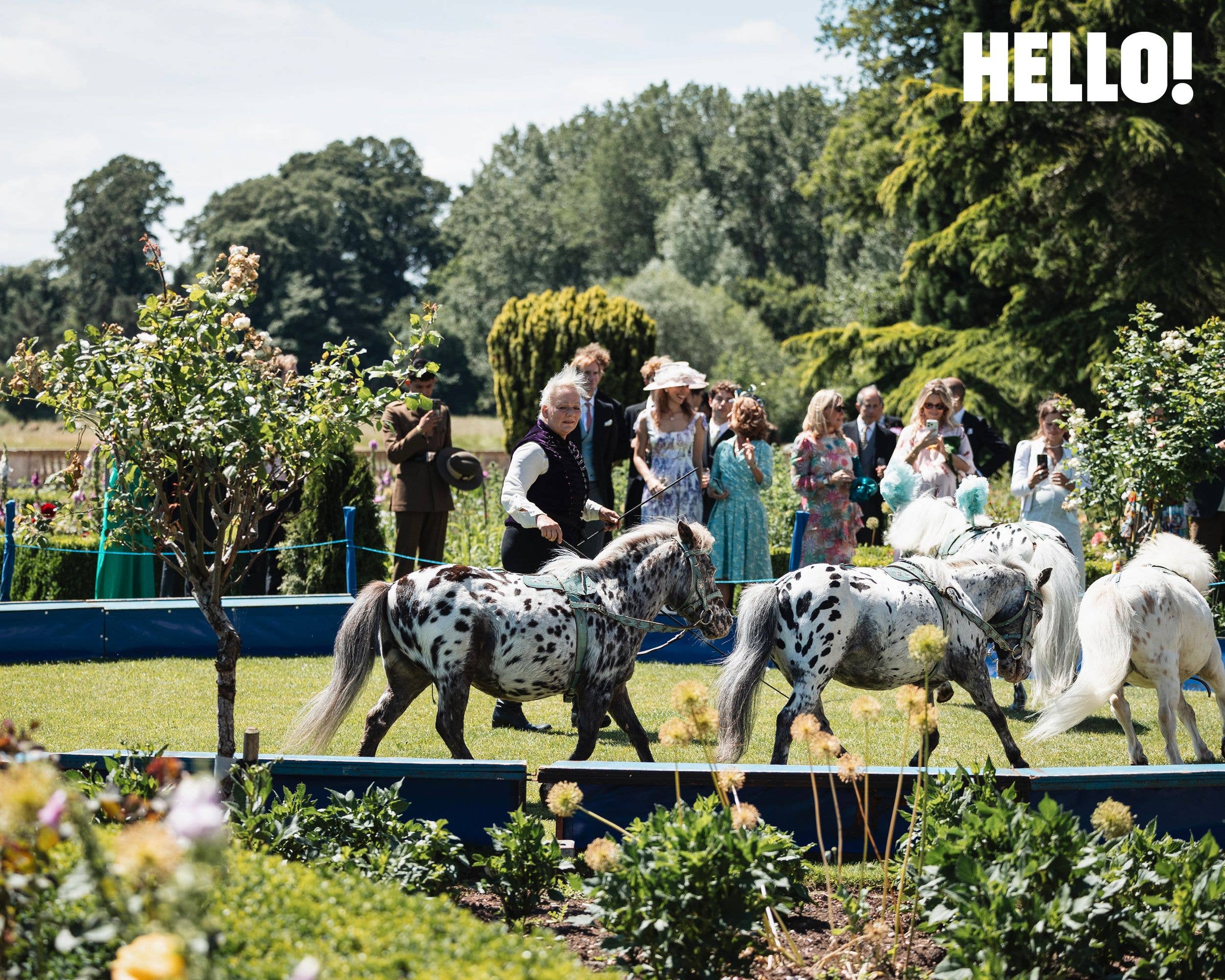 Ponies from Gifford's Circus joined the celebrations