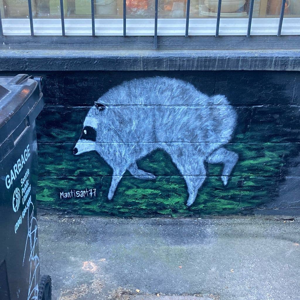 jimothy the raccoon mural