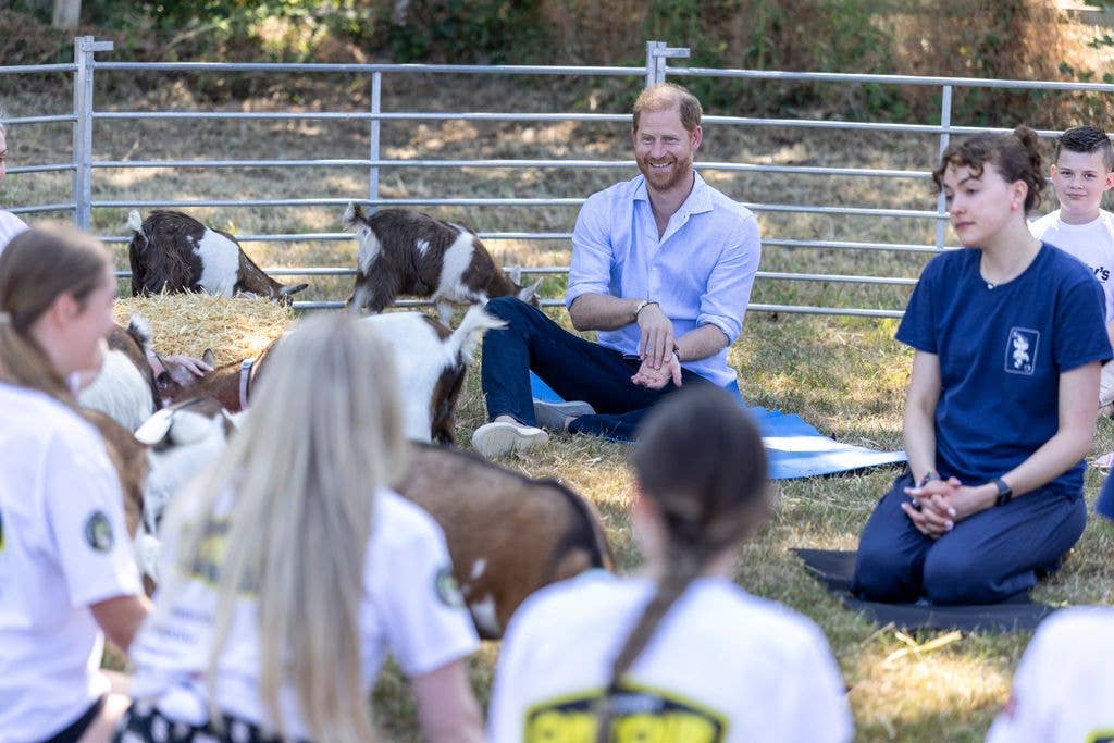 Prince Harry sitting with young people and goats
