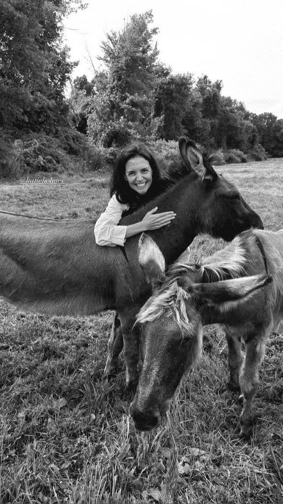 Katie Holmes embraces a mule on a farm in a photo shared by Jason Bard Yarmosky on Instagram