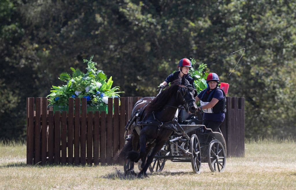 Two people in helmets ride a black horse pulling a cart in a grassy field.