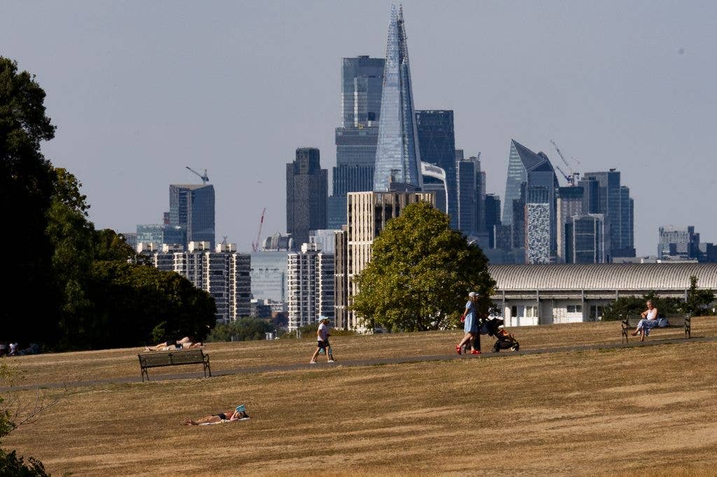 London park with yellow grass