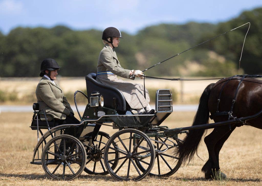 Two individuals in equestrian attire riding a horse-drawn carriage on a grassy field.