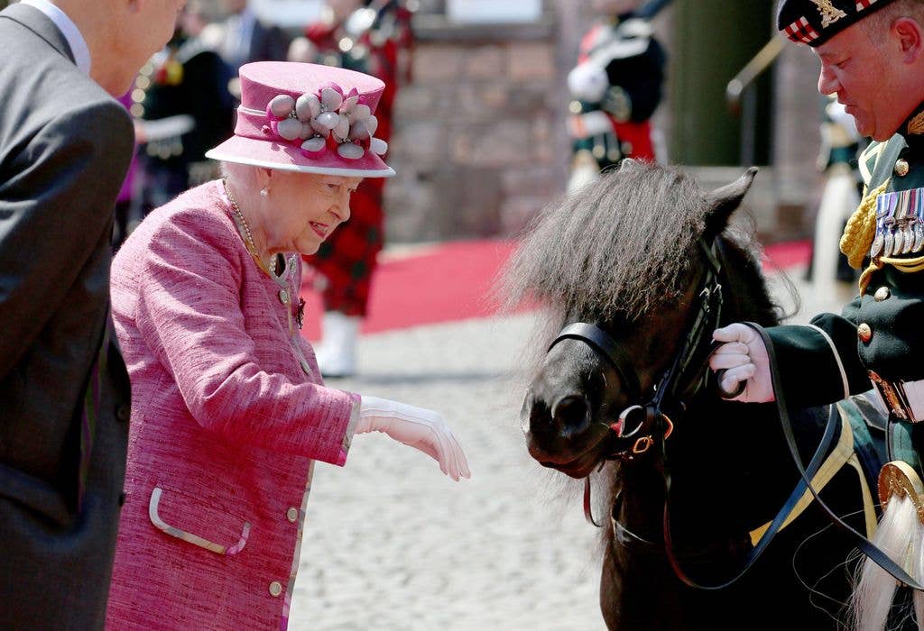 Queen Elizabeth II meets with pony