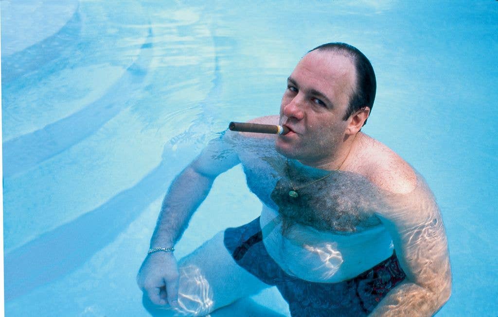 James Gandolfini built a name for himself as one of the most recognisable actors in Hollywood