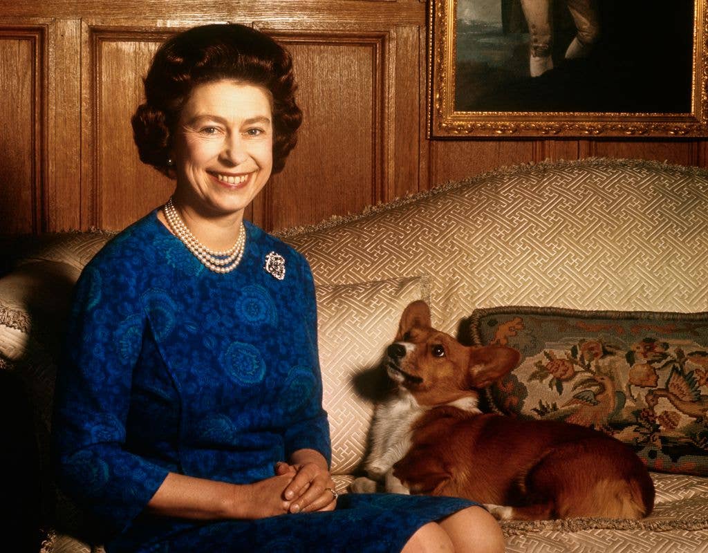 Britain's Queen Elizabeth II smiles radiantly during a picture-taking session in the salon at Sandringham House. Her pet dog looks up at her. These photos were taken in connection with the royal Family's planned tour of Australia and New Zealand.