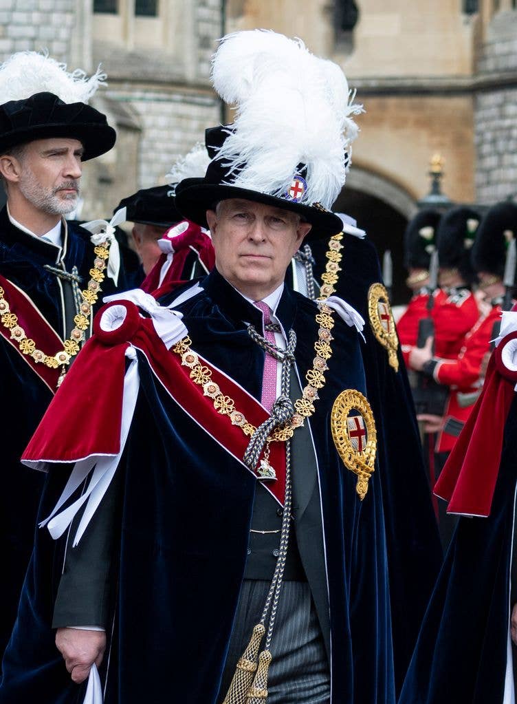 Prince Andrew wearing his ceremonial robes