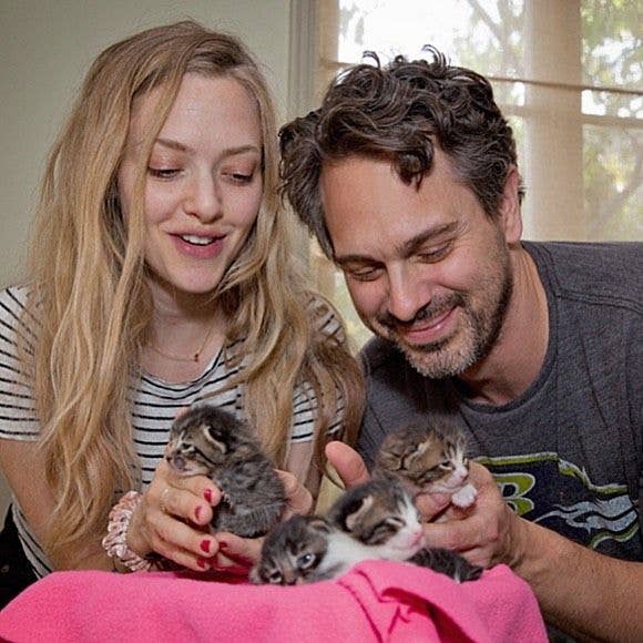Amanda seyfried and Thomas sadoski cats
