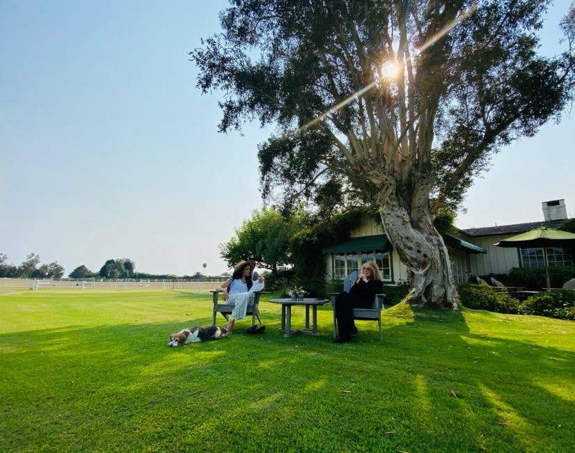 Two women sit on chairs under a tree, one with a hat, a dog nearby.