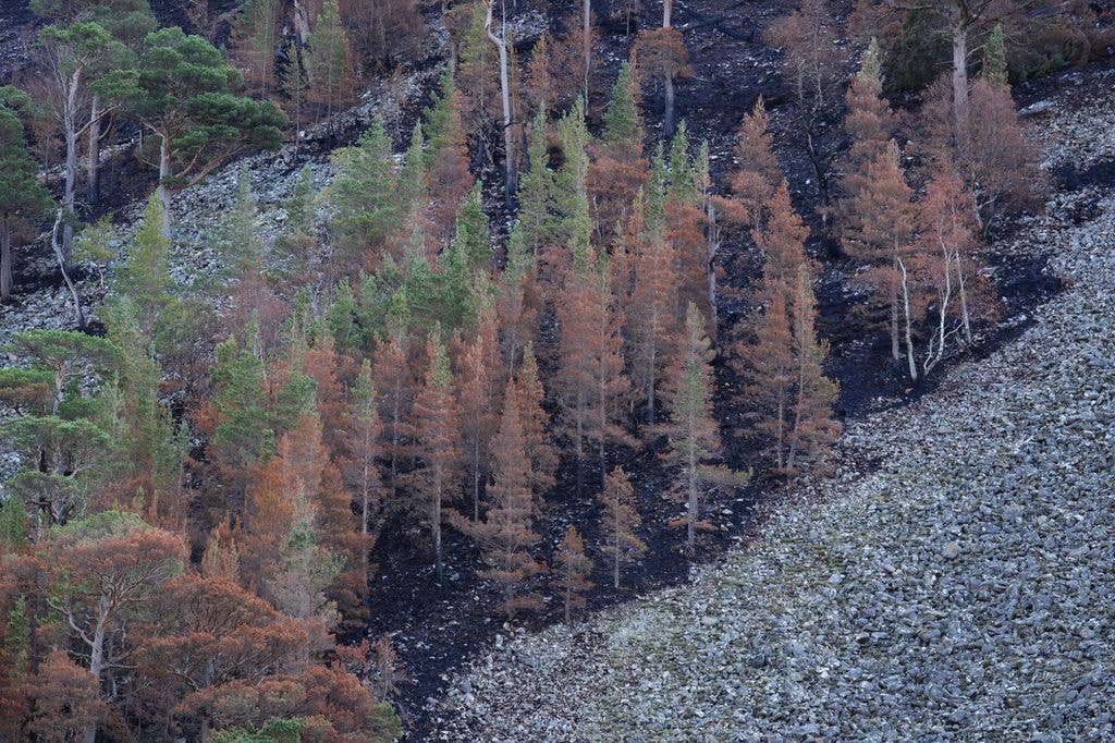 King Charles III meets the community leaders, firefighters, volunteers and landowners who played a vital role in containing the Glenmore and Abernethy wildfire in July and August, which burned more than 3,300 hectares of land