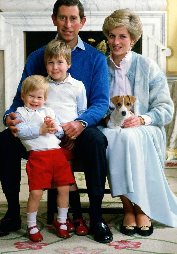 Prince Charles, Princess Diana, Prince William and Prince Harry at home in 1986