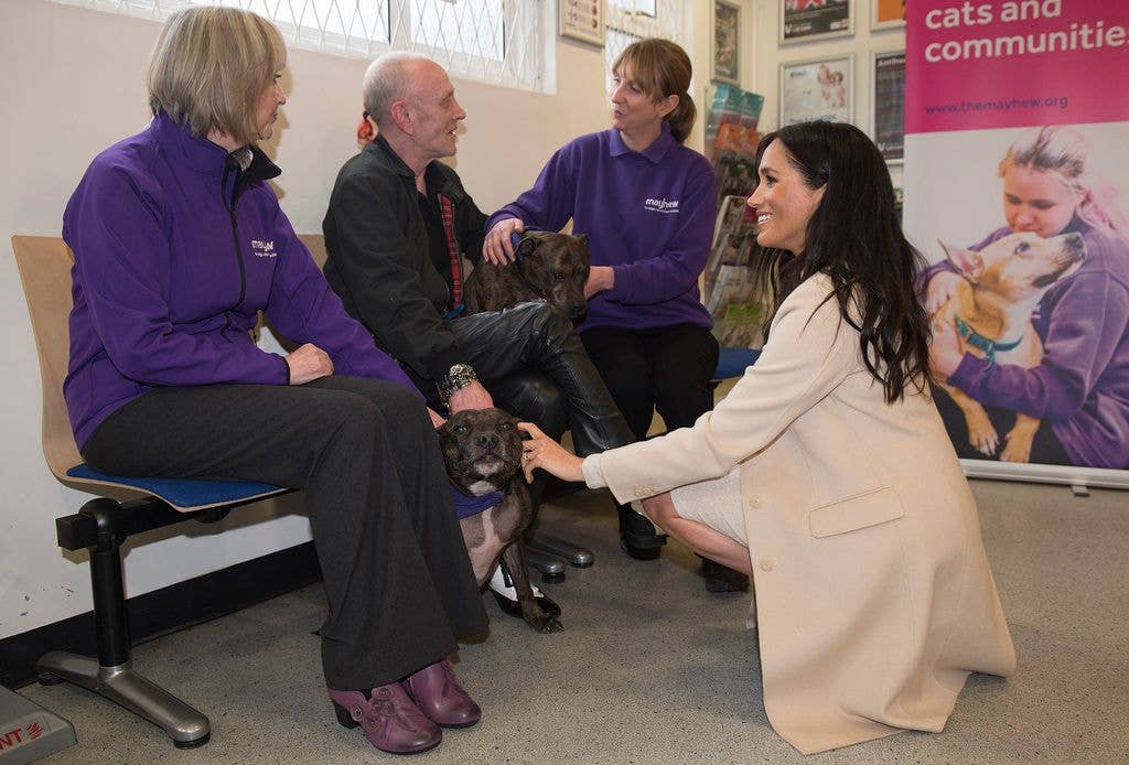 Meghan visiting Mayhew back in 2019